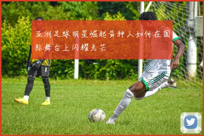 亚洲足球明星崛起黄种人如何在国际舞台上闪耀光芒