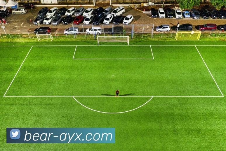 多媒体互动体验